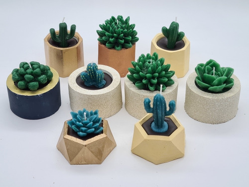25 Velas Artesanal Cactus, Suculenta Aromática Base Concreto