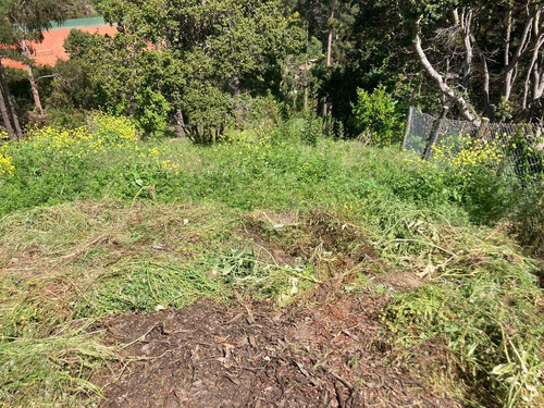 Terreno Excelente Ubicación A 2 Calles De Playa En...
