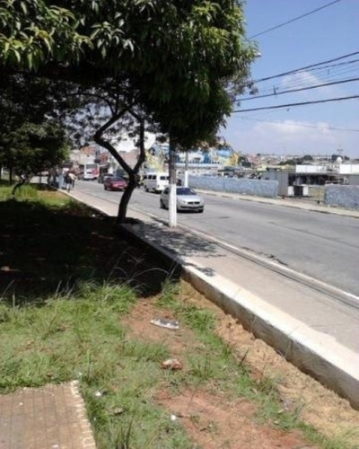 Imagem 3 de 11 de Terreno - Te16 - 32141236