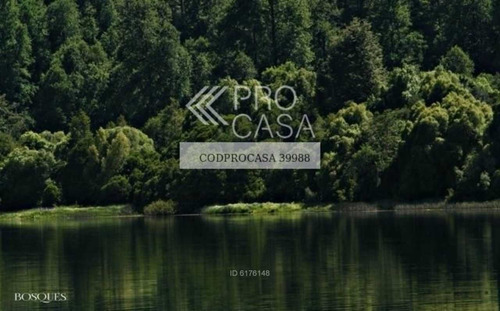 Lago Pirihueico / Lago Pirihueico Cv
