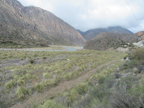 Venta De Campo Ruta Nacional  Número 7  Mendoza