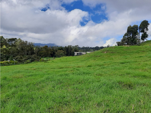 Venta De Lote En El Alto De Las Palmas