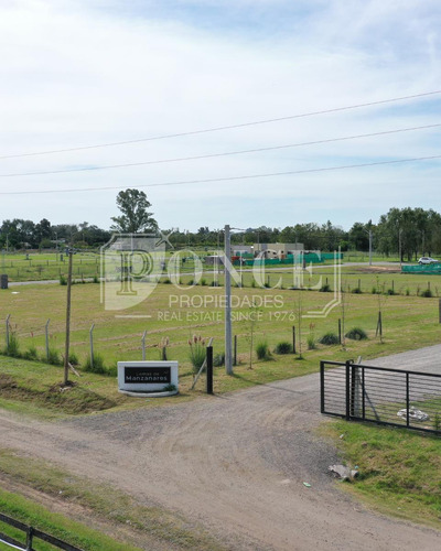Terreno En Manzanares - Lomas De Manzanares