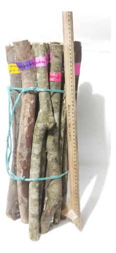 Carga De Palos Santeria Mayombe 50 Cm
