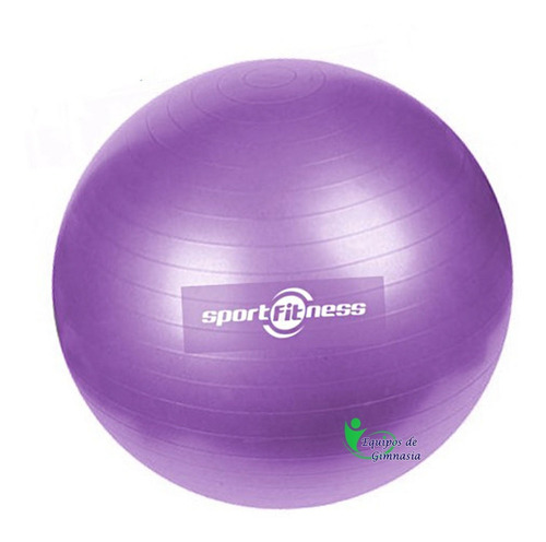 Imagen 6 de 6 de Balón Pilates Yoga Terapia Pelota Gimnasio 75 Cm Abdominales