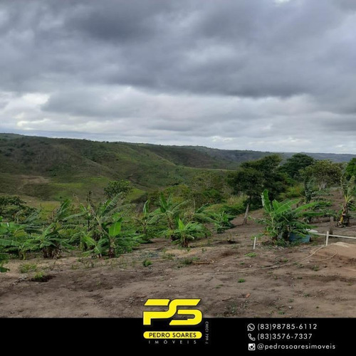 (oportunidade) Chácara À Venda, 1000 M² Por R$ 250.000 - Centro - Pilões/pb - Ch0024