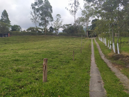 Se Vende Finca Salento Quindio Bosque Nativo Reserva Hidrica