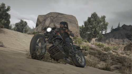Imagen 3 de 5 de Days Gone - Playstation 4