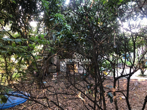 Imagem 6 de 14 de Lote A Venda Em Igarapé Bairro Jardim Colonial - Te0224
