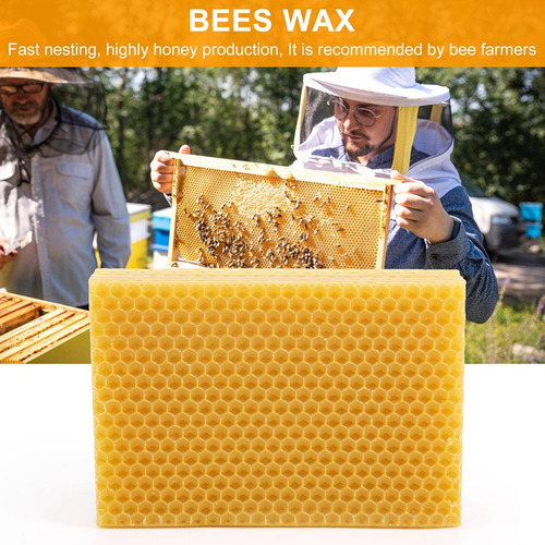 30 Hojas De Base De Cera De Abeja Con Forma De Panal De Abej