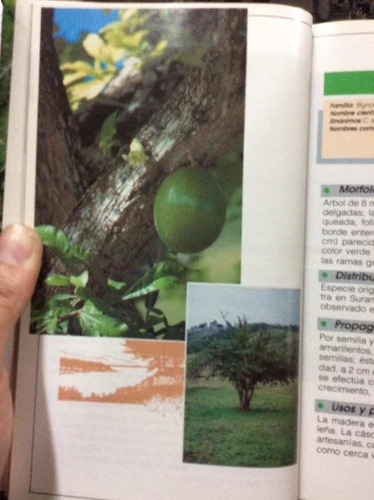 Imagen 6 de 9 de El Manto De La Tierra: Flora De Los Andes Car