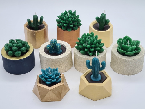 4 Vela Aromatica Cactus Y Suculenta
