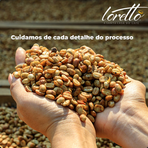 Café Verde Beneficiado Bourbon Amarelo Loretto 5kg 86 Pontos