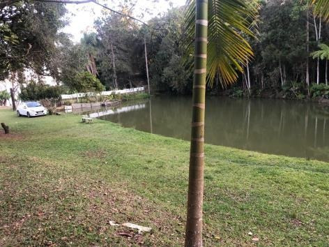Imagem 10 de 12 de Sitio Em Biritiba Ussu - Ven8