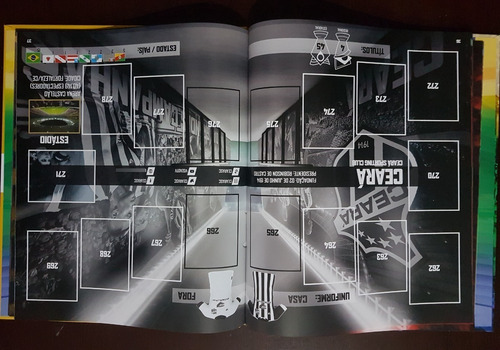 Álbum Capa Dura Campeonato Brasileiro 2020 Completo P/colar