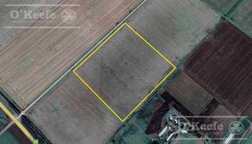 Imagen 5 de 9 de Chacabuco- Chacra En Venta De 12 Has Agricolas. A 300 M De La Ruta