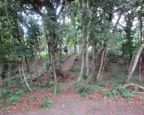 Chacara - 04536 - 33229180