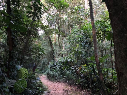 Casa De Condomínio À Venda Na Rua Dionísio Pedrellini, Jardim Olympia, São Paulo - Sp - Liv-8434