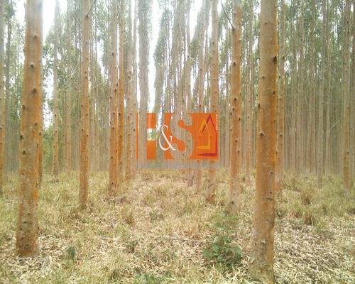 Imagem 4 de 18 de Fazenda - Fa00001 - 69800283