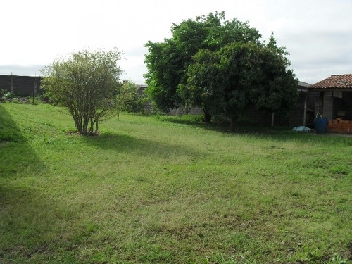 Imagem 5 de 9 de Venda - Chácara Bairro Dos Morros / Sorocaba/sp - 4495