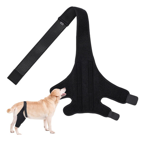 Rodillera Para Perro Soporte Para Patas Traseras De Perro So