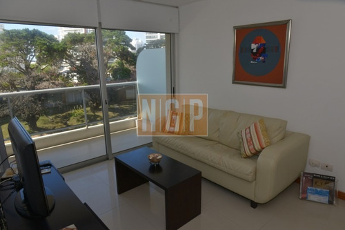 Lindisimo Entorno ,nuevo ,con Servicios ,lindisima Zona -ref:7270