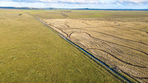 Venta Campo 740 Hás Rocha Agrícola Ganadero R 7085 (ref: Atm-7085)