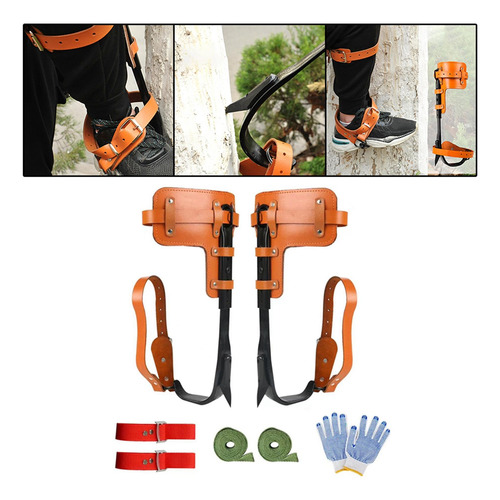 De Escalada De Árboles Con Correas De Guantes Herramienta