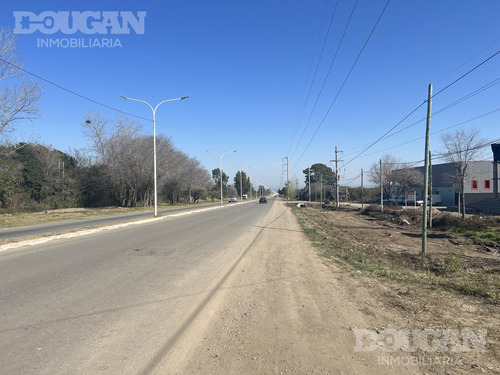 Emprende Tu Negocio En Merlo San Luis - Polo Logístico