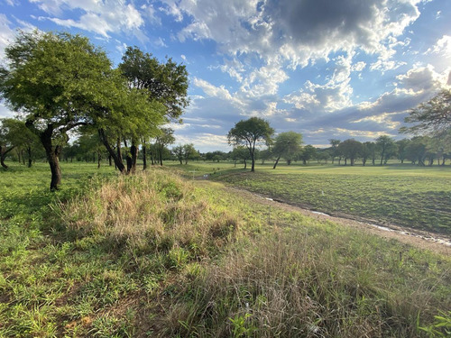 Venta Lote - Estancia El Terron - Fondo Golf Hoyo 3 - Excelente Ubicación