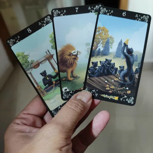 Cartas De Tarot- Black Cats Tarot