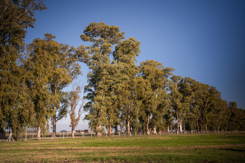 BARRIO TRES PINOS VILLA DE CAMPO-LOTES FINANCIADOS