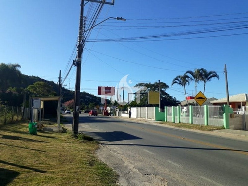 Imagem 11 de 15 de Terreno Comercial - Morro Das Pedras - Ref: 1561 - V-hi72388