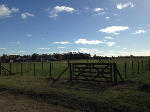 Lote | Antartida Argentina, A.