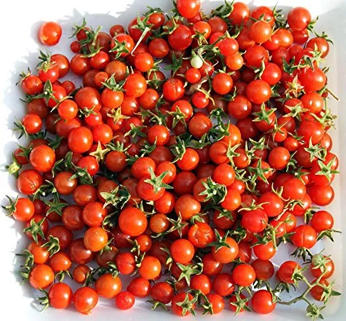 Más De 30 Semillas De Tomate Sweetie Cherry, También Cono.