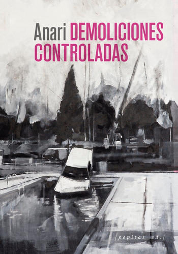 Libro Demoliciones Controladas - Alberdi Santesteban, Anari