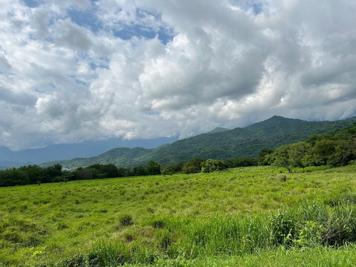 Impresionante Rancho En Manuel Avila Camacho - Tonalá