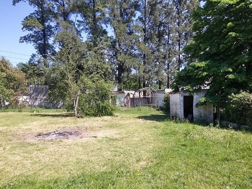 Imagen 12 de 14 de Fracción De 1456 M2 Zona Industrial Con Mejoras En La Reja.