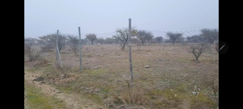 Sitio Eriazo Sector Limavida Lote 34, 5.000 Metros Planos