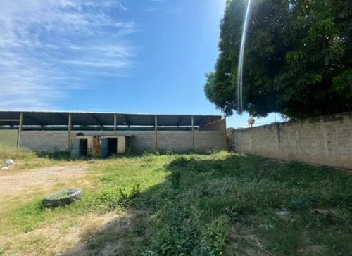 Imagen 8 de 12 de Se Alquila Galpon Con Terreno En Palo Negro - Kirpal Gonzalez