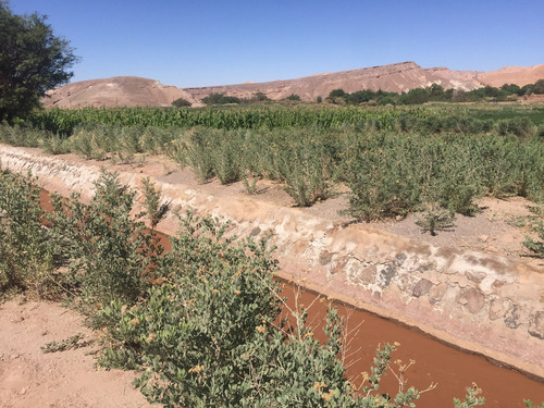 Gran Terreno En Venta, San Pedro De Atacama.