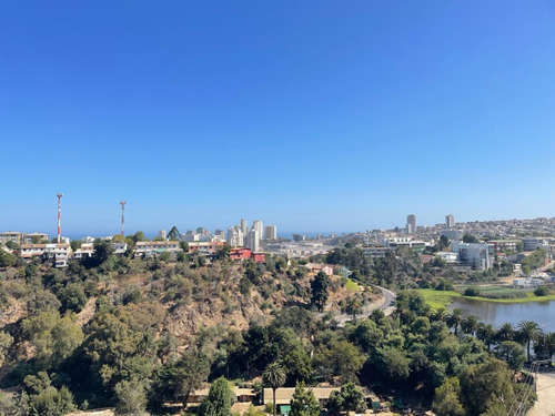 Amplio Y Maravilloso Departamento En Venta, Viña Del Mar