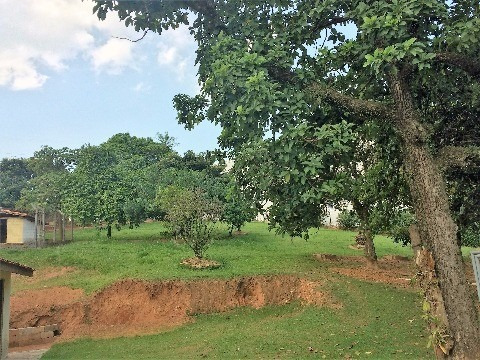 Rural - Venda - Engordadouro - Cod. 738 - V738