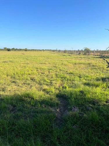 Se Vende Parcela De 5.000 Mt2 Cerca De Parral (126604)