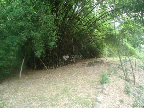 Imagem 6 de 14 de Terreno À Venda, 1099 M² Por R$ 90.000,00 - Mata Paca - Niterói/rj - Te2154