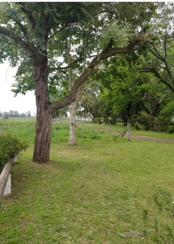 Imagen 5 de 10 de Campo - M.paz Rural