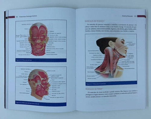 Livro Anatomia E Fisiologia Humana - Imagens Coloridas