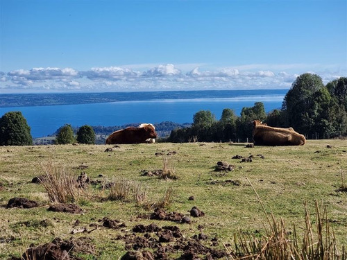Imagen 3 de 17 de Parcela Vista Lago Rupanco Volcanes Preventa Oportunidad