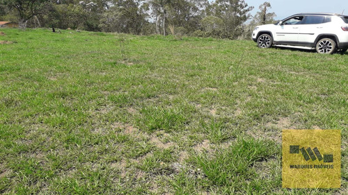 Imagem 8 de 13 de Terreno Em Monte Negro - Santa Isabel - 4041
