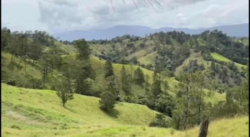 Título Deslindado